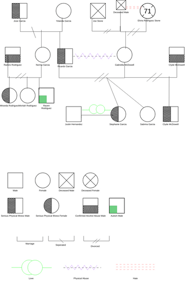 Copy of Stephanie's Genogram.vpd | Visual Paradigm Community